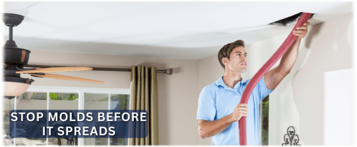 Air Duct Mold Removal in Framingham MA